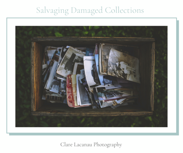 Salvage Damaged Photos